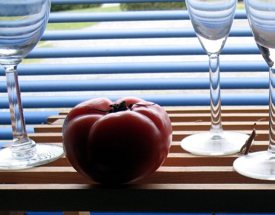 tomato-glass-window1