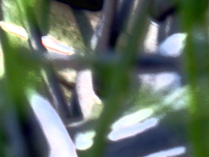 Mechanicalforest Accidental Abstract