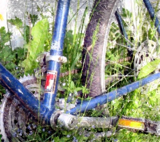 bicycle 008 bicycle 008