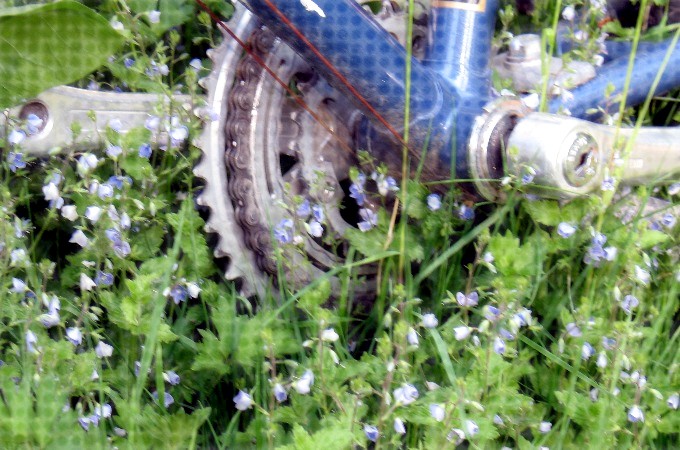 bicycle 009 bicycle 009