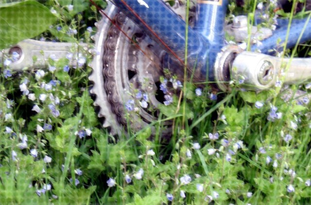 bicycle 009 bicycle 009