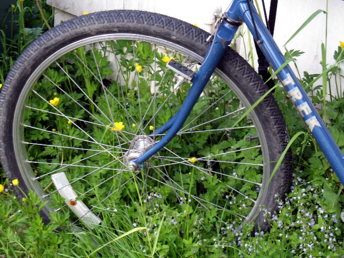 bicycle 016 bicycle 016