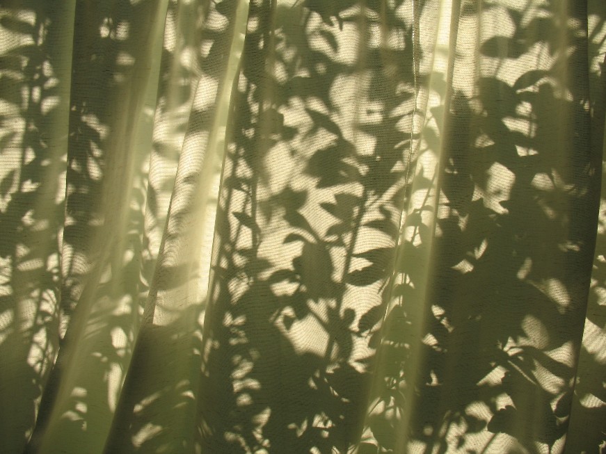 shadow curtain1