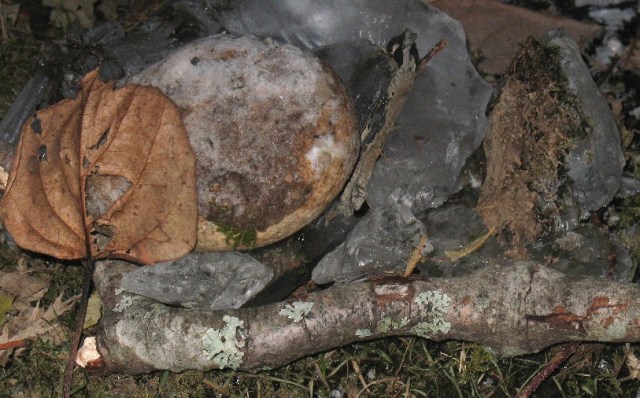 leaf, stone, ice, earth