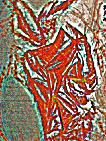 standing figure_edited-1