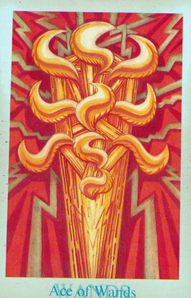 ace of wands