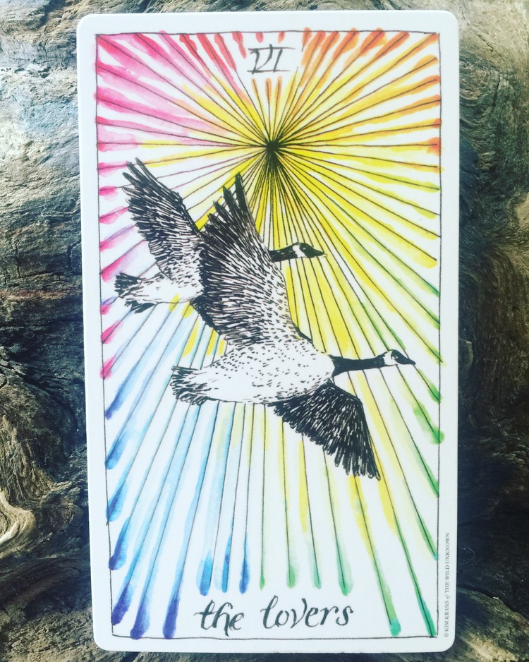 Image result for the lovers tarot wild unknown